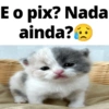 E o pix? Nada ainda?