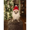 Navideños 🎄😈 5