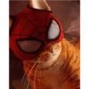 Homem aranha 14
