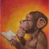 Melhores de macaquinhos 5