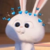 This is Snowball❄️🐰✨ 13