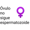 Óvulo no sigue @paraguayita_01 C espermatozoide