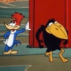 PICAPAU 14