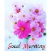 Good morning 18