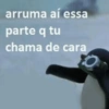 arruma aí essa parte q tu chama de cara
