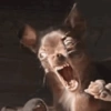 Memes cachorro 10