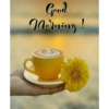 Good morning 7