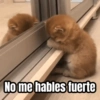 No me hables fuerte
