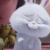 This is Snowball❄️🐰✨ 10