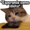 *Esperando como idiota*