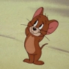 🧿Jerry 🐁🐭 8