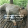 "Mi lugar favorito soy yo, encerrado en mi cuarto escuchando música."