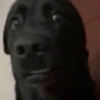 Comentários do TikTok ✨🙂 30