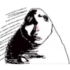 Hamster 6 8