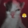 Emoji 🤌😊 12