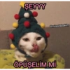ŞEYYY @miawlabakim ÖPÜŞELİM Mİ