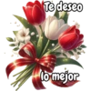 Tulipanes para toda ocasión 🌷 12