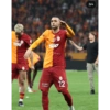 Galatasaray Çıkartmalarım 24