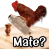 Mate?