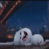 This is Snowball❄️🐰✨ 15