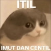 Meme kucing 1 26