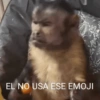 Memes 28 23