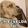 ¿Y E VELDÁ TÚ?