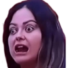 geysioy