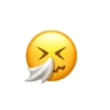 Iphone emoji 29