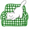 🧿 Gato Relax🐱🐈 15