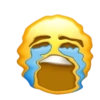 Emoji iphone centil 😮‍💨 14