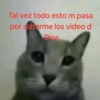 Tal vez todo esto m pasa por saltarme los video d Dios