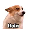 eciseclove Stickers Hola