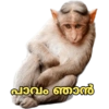 കാങ്കോൽ അഷ്‌റഫ്‌ 5