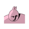 Pink rabbit 8