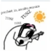 Tik tok meme 11