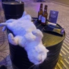 Gatitos Viciosos 🍻🥃 10