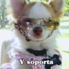 Y soporta