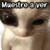 Muestre a ver