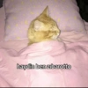 Komik şeyleğğrr 24