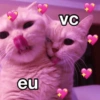 Para casal 3