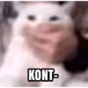 Meme kucing 1 25