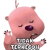 TIDAK TERKECOH