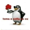 Pinguins de madagascar🐧 13