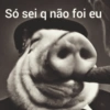 Só sei q não foi eu
