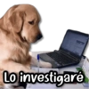 Lo investigaré