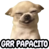 STICKERS PERROS SIN CONTEXTO🐶 9