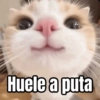 Huele a puta