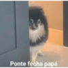 BTS y ARMYS 18 25
