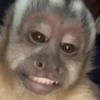 Monos con expresiones 18